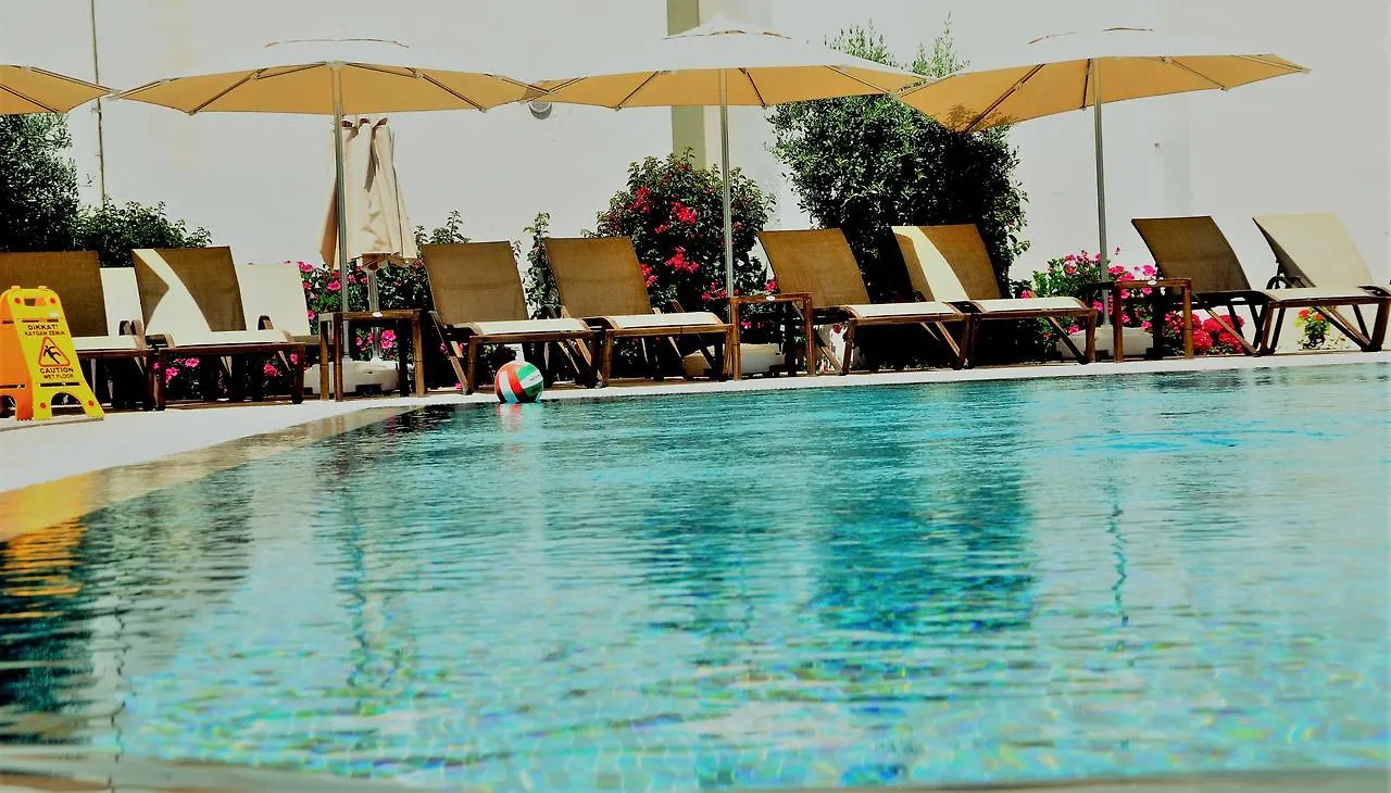 Olivias Group Hotel location